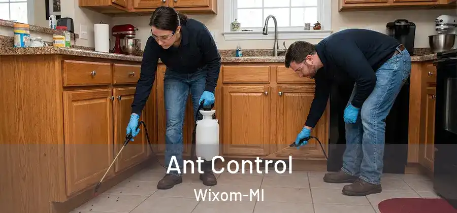  Ant Control Wixom-MI
