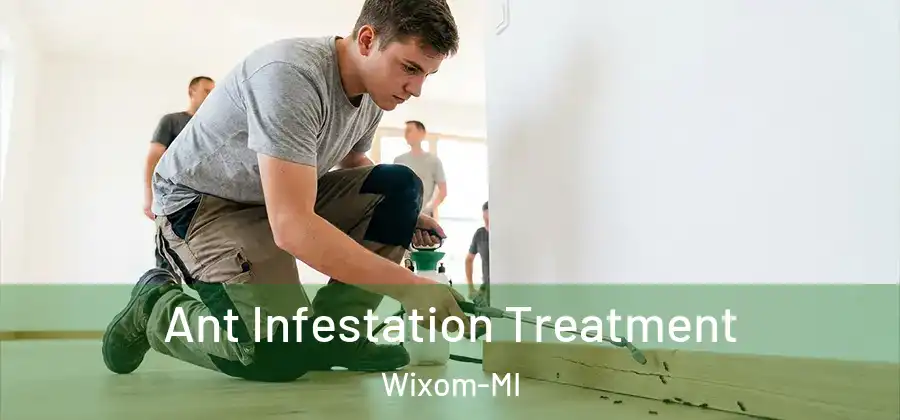Ant Infestation Treatment Wixom-MI