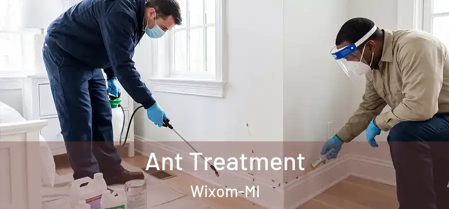 Ant Treatment Wixom-MI