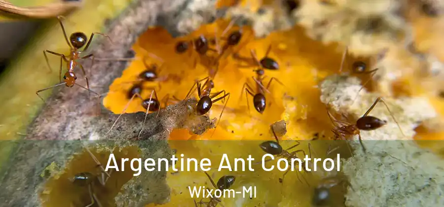 Argentine Ant Control Wixom-MI