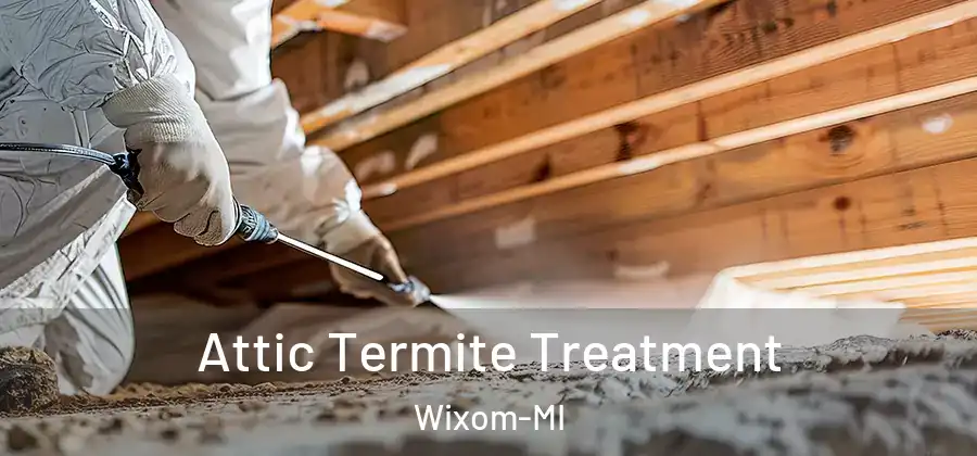  Attic Termite Treatment Wixom-MI