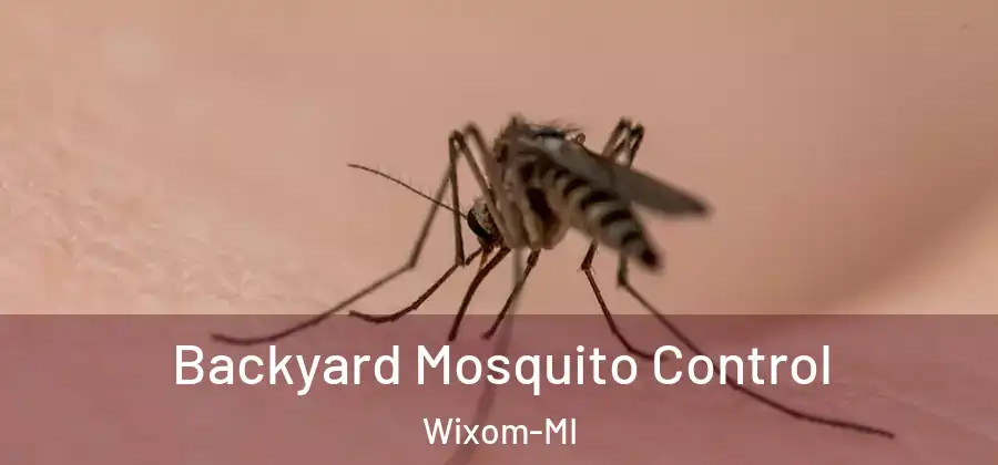 Backyard Mosquito Control Wixom-MI
