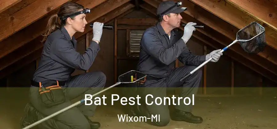 Bat Pest Control Wixom-MI