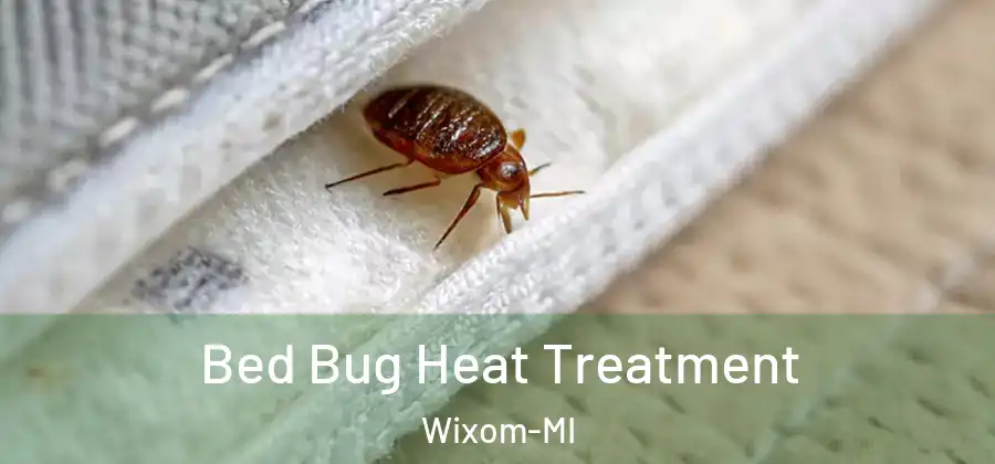Bed Bug Heat Treatment Wixom-MI