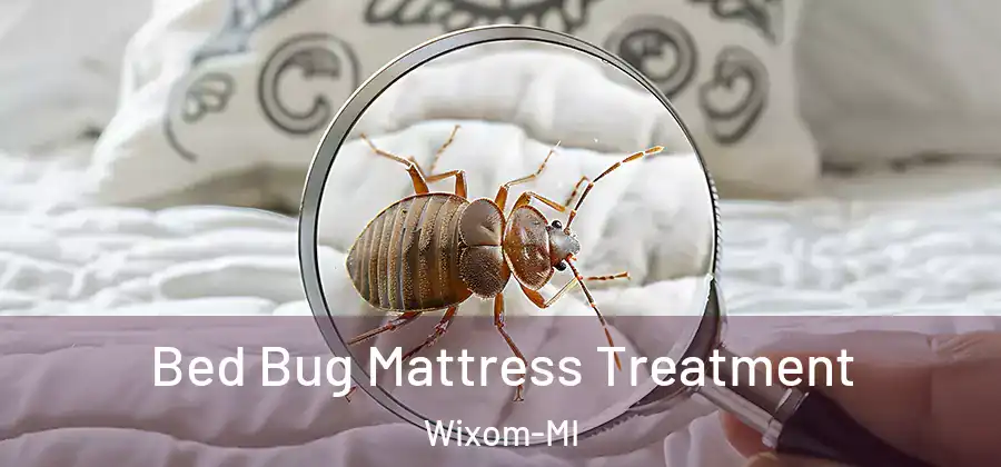 Bed Bug Mattress Treatment Wixom-MI