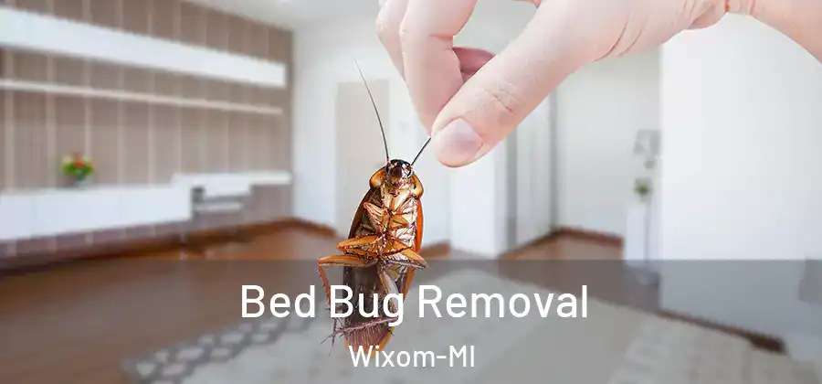Bed Bug Removal Wixom-MI
