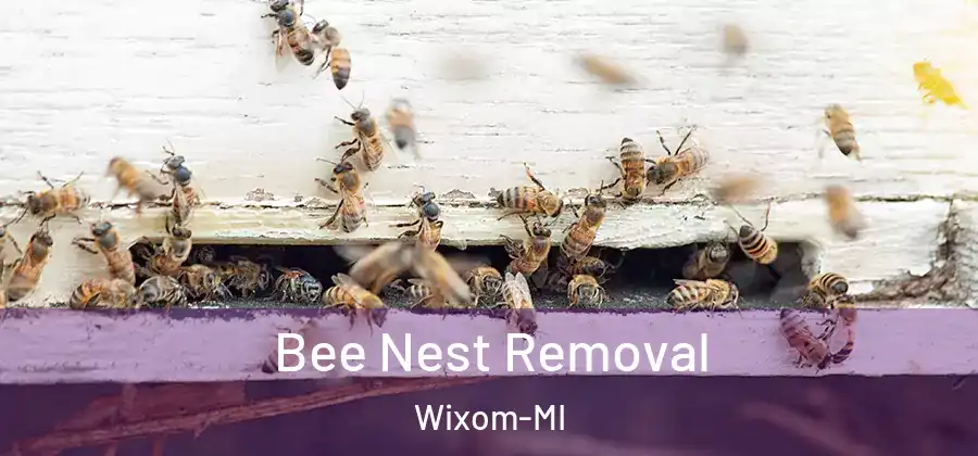 Bee Nest Removal Wixom-MI
