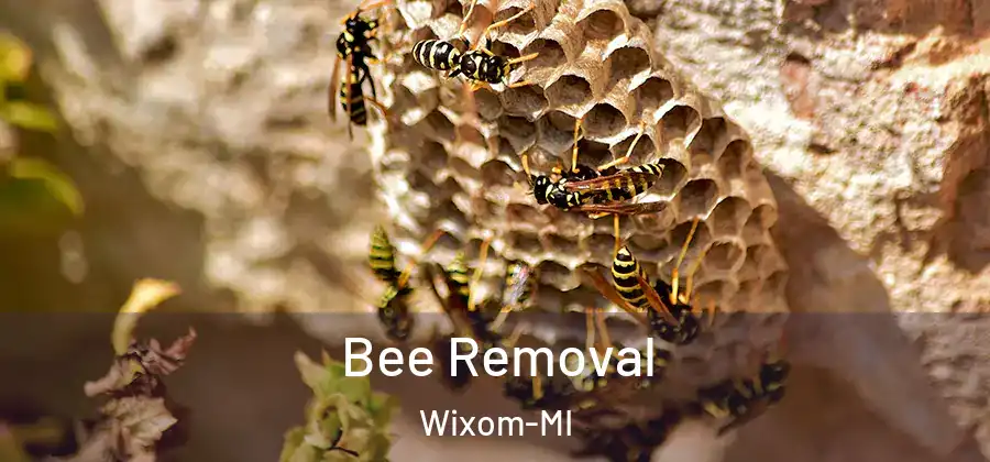 Bee Removal Wixom-MI