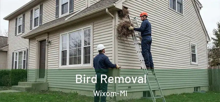 Bird Removal Wixom-MI
