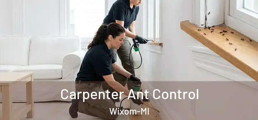 Carpenter Ant Control Wixom-MI