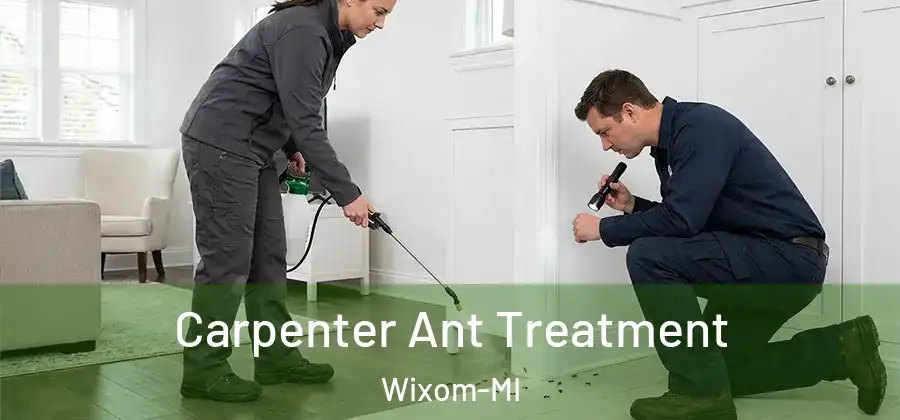 Carpenter Ant Treatment Wixom-MI