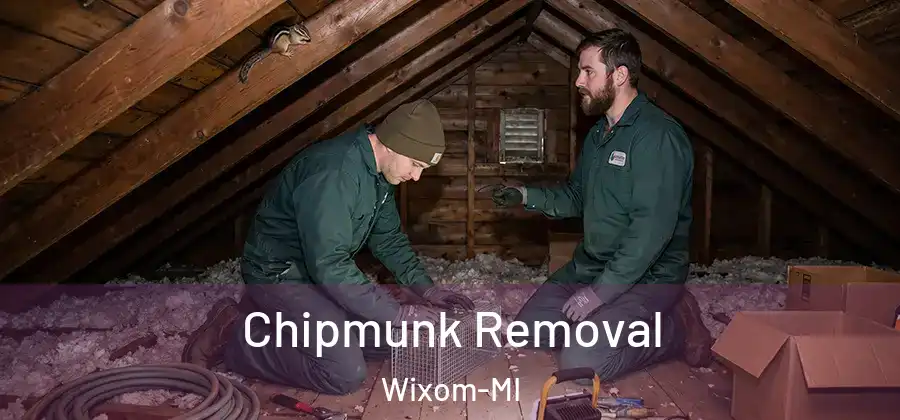 Chipmunk Removal Wixom-MI