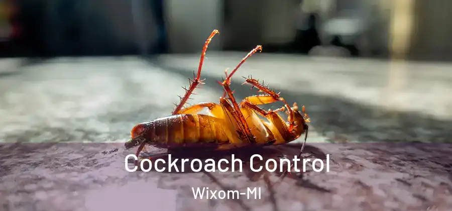  Cockroach Control Wixom-MI
