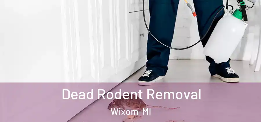  Dead Rodent Removal Wixom-MI