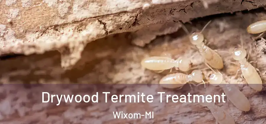  Drywood Termite Treatment Wixom-MI