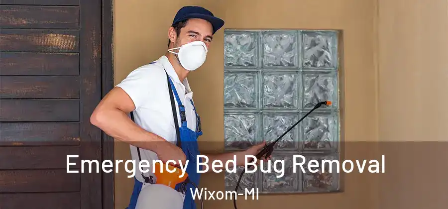  Emergency Bed Bug Removal Wixom-MI