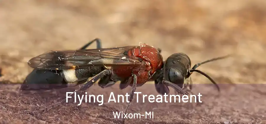  Flying Ant Treatment Wixom-MI