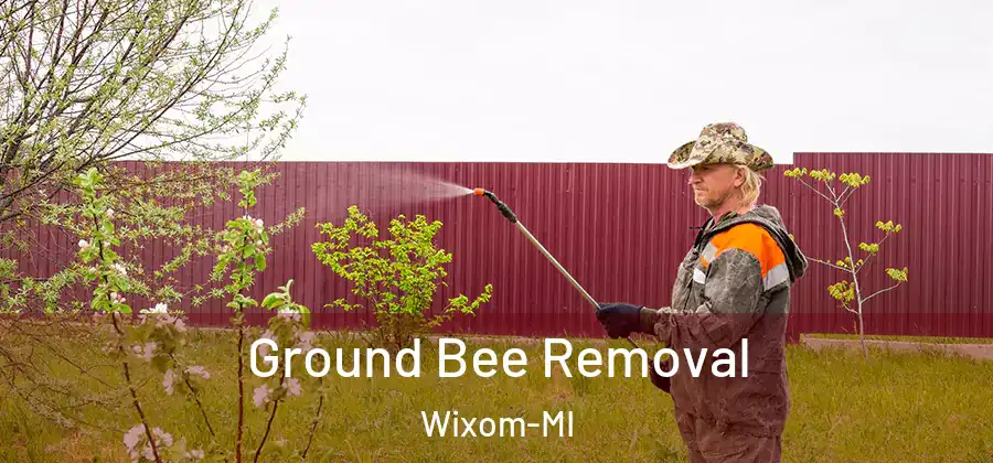 Ground Bee Removal Wixom-MI