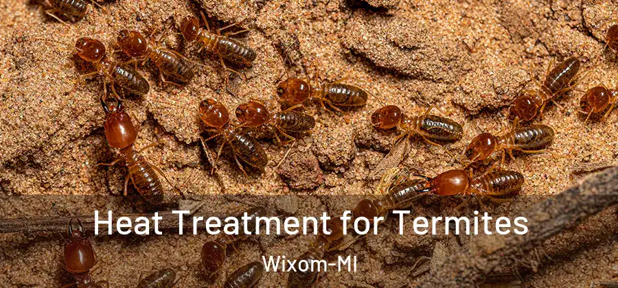  Heat Treatment for Termites Wixom-MI
