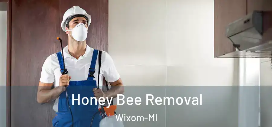 Honey Bee Removal Wixom-MI