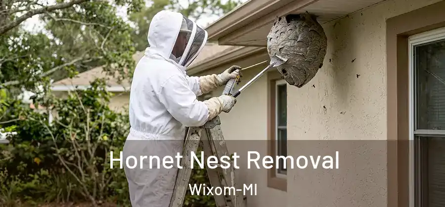  Hornet Nest Removal Wixom-MI