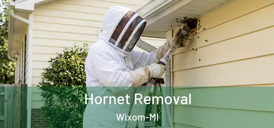 Hornet Removal Wixom-MI