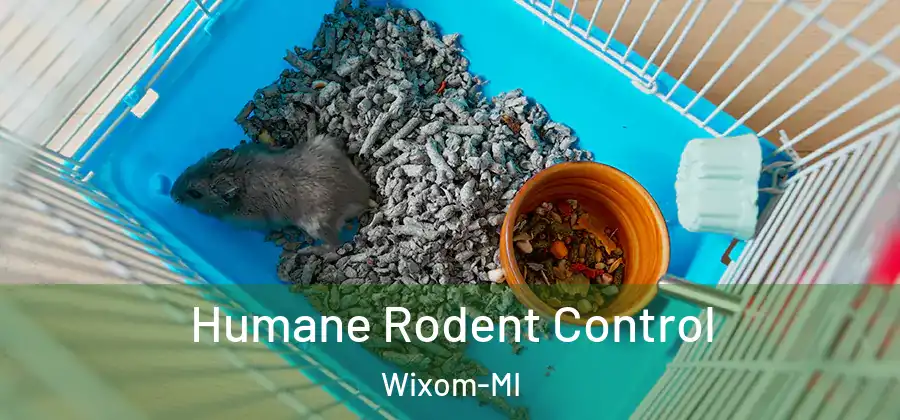 Humane Rodent Control Wixom-MI