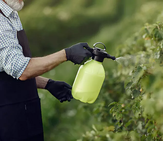 Your Proven Mosquito Treatment Company in Wixom, MI