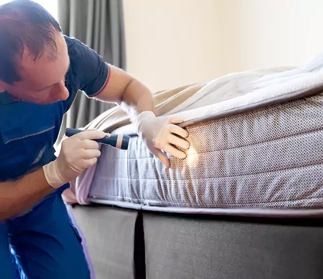Trusted Bed Bug Cost Experts in Wixom, MI