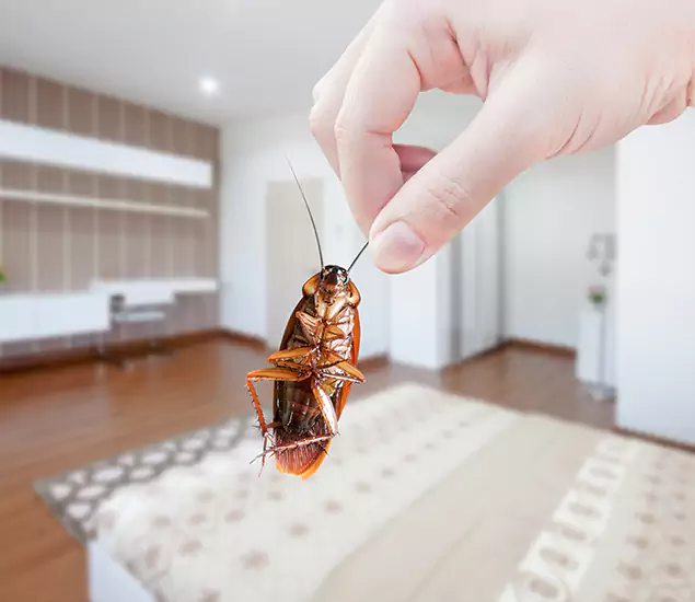 Your Cockroach Control Services in Wixom, MI
