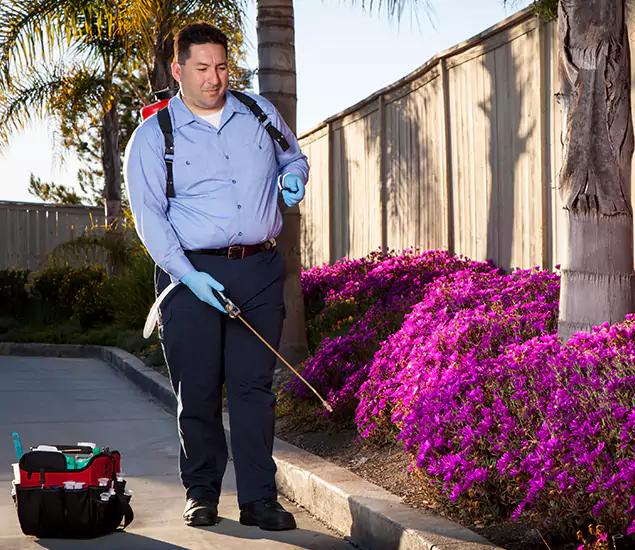 About Our Eco Safe Pest Control Experts in Wixom, MI