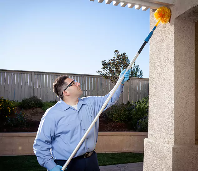 Trusted Experts in Wixom MI for Formosan Termite Treatment and Black Termite Control