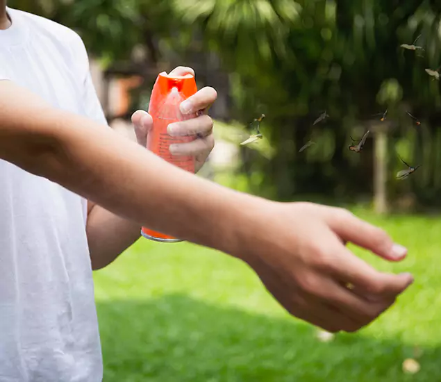 Your Best Indoor Bug Killer Team in Wixom, MI