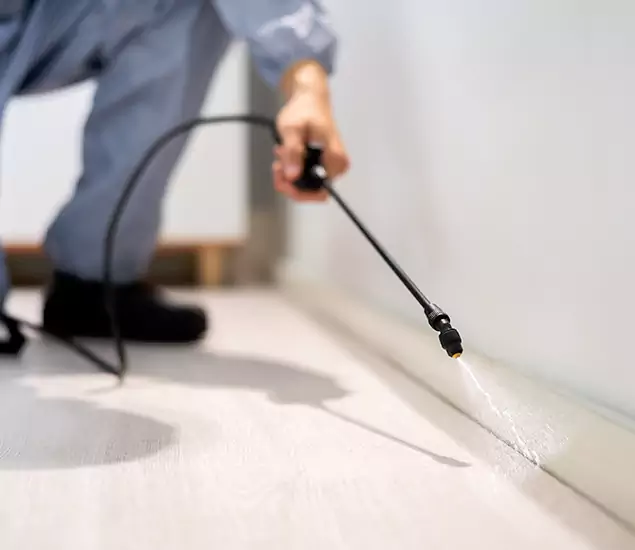 About Our Liquid Termite Treatment Experts in Wixom, MI