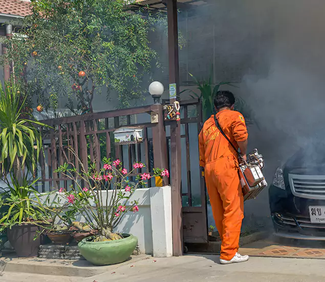 Your Proven Mosquito Fogging Company in Wixom, MI