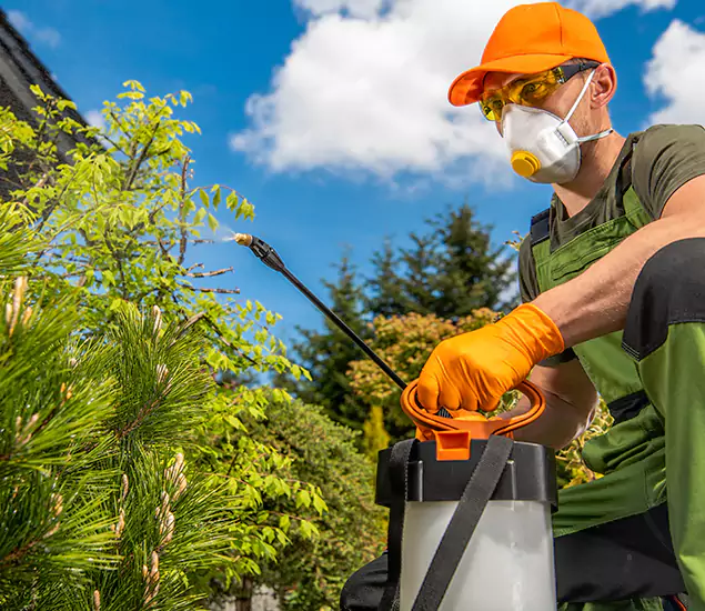 Your Best Bug Spray for Home Team in Wixom, MI