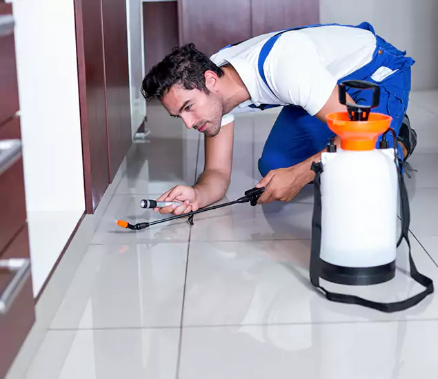 Reliable Professional Mouse Removal: Your Best Mouse Control Company in Wixom, MI