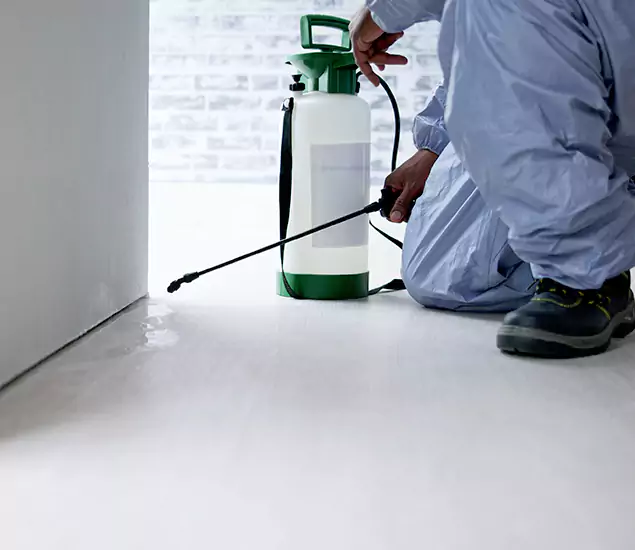 Affordable Pest Control Experts in Wixom, MI