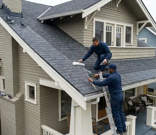 Your Pigeon Control Experts in Wixom, MI