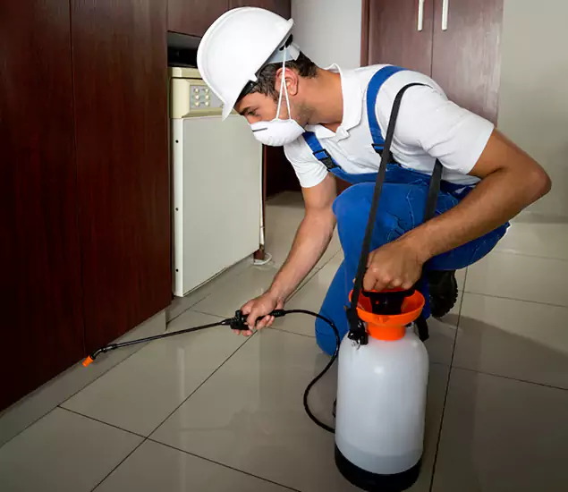 Advanced Termite Pre Treatment Experts in Wixom, MI