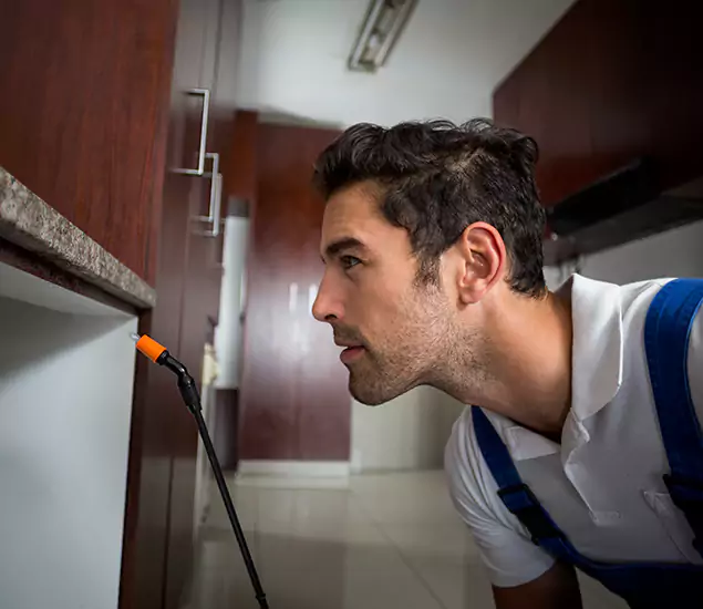 Expert Rodent in Attic Removal: Your Proven Pest Specialists in Wixom, MI
