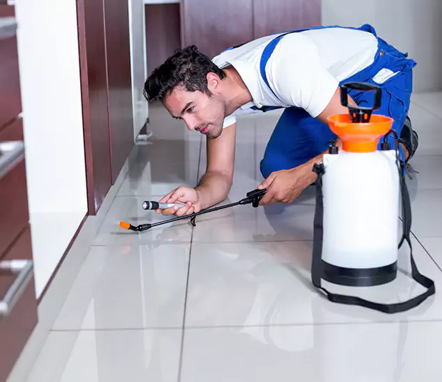 Advanced Slab Termite Treatment Experts You Can Trust&nbsp;in Wixom, MI