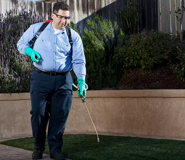 Reliable Termite Barrier Treatment Experts in Wixom, MI