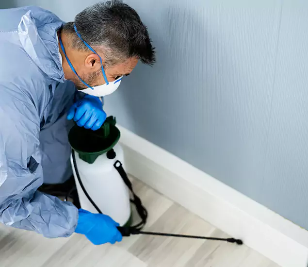 Reliable Termite Cost Experts in Wixom, MI