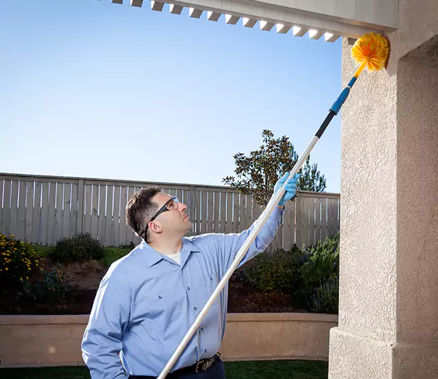 Your Trusted Wasp Removal Company in Wixom, MI
