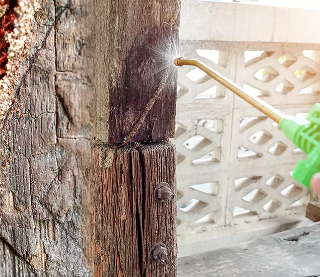 About Wood Termite Treatment Services in Wixom, MI