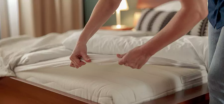 Bed Bug Extermination Services in Wixom