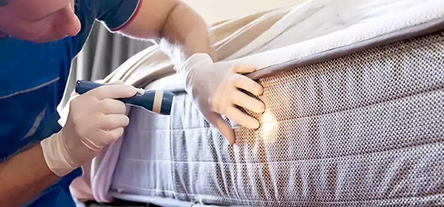 Residential Bed Bug Treatment Cost in Wixom