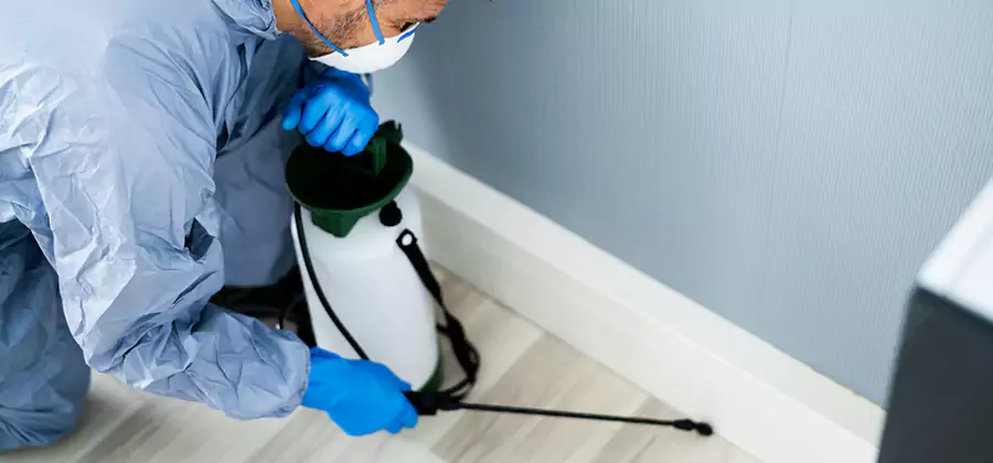 Fumigate Apartment Roaches in Wixom