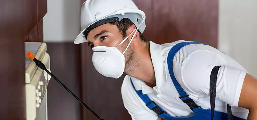 Injection Foam Treatment for Drywood Termites in Wixom
